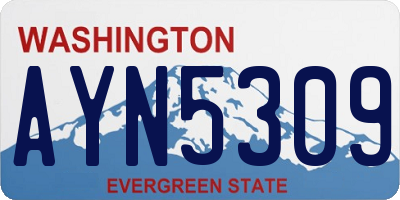 WA license plate AYN5309
