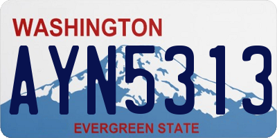 WA license plate AYN5313