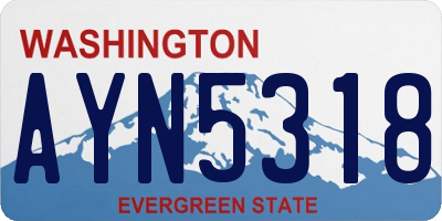 WA license plate AYN5318