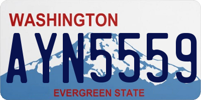 WA license plate AYN5559