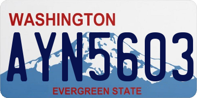 WA license plate AYN5603