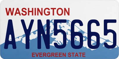 WA license plate AYN5665