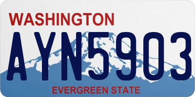 WA license plate AYN5903
