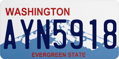 WA license plate AYN5918