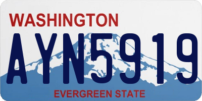 WA license plate AYN5919