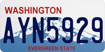WA license plate AYN5929
