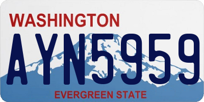 WA license plate AYN5959
