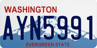 WA license plate AYN5991