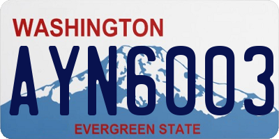 WA license plate AYN6003