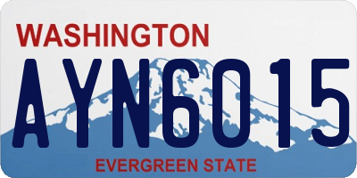 WA license plate AYN6015