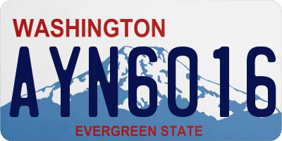 WA license plate AYN6016