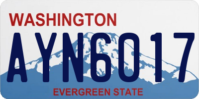 WA license plate AYN6017