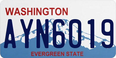 WA license plate AYN6019