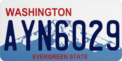 WA license plate AYN6029
