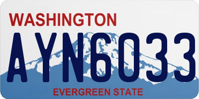 WA license plate AYN6033