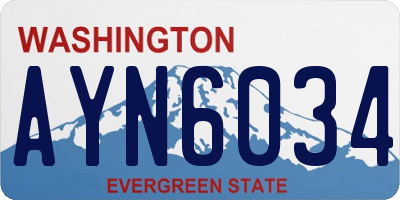 WA license plate AYN6034