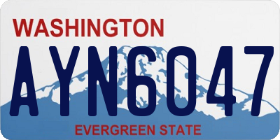 WA license plate AYN6047