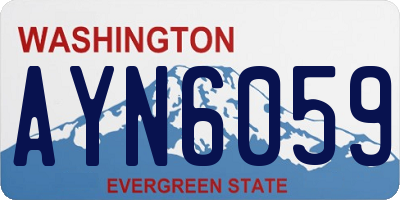 WA license plate AYN6059