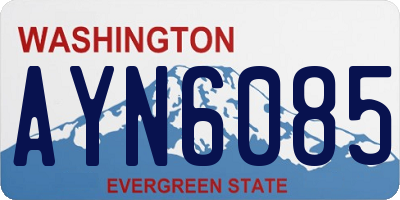 WA license plate AYN6085