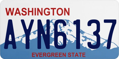 WA license plate AYN6137
