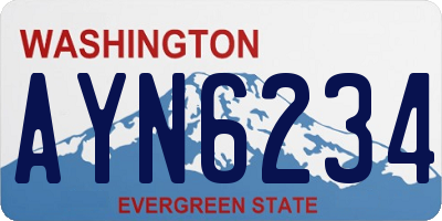 WA license plate AYN6234