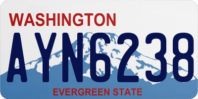 WA license plate AYN6238