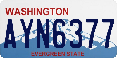 WA license plate AYN6377