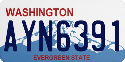 WA license plate AYN6391