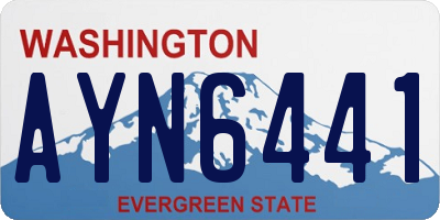WA license plate AYN6441