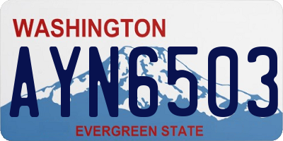 WA license plate AYN6503