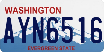 WA license plate AYN6516