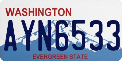 WA license plate AYN6533