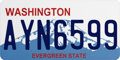 WA license plate AYN6599