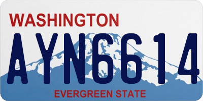 WA license plate AYN6614