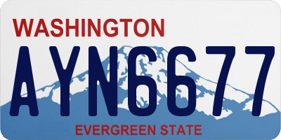 WA license plate AYN6677