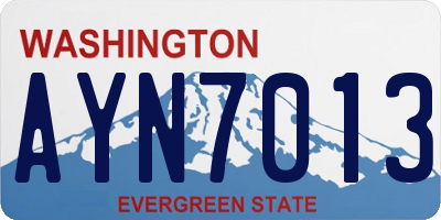 WA license plate AYN7013