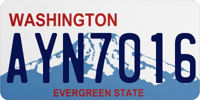 WA license plate AYN7016