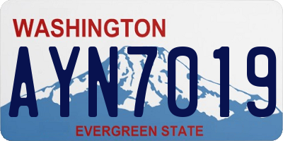 WA license plate AYN7019