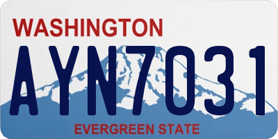 WA license plate AYN7031