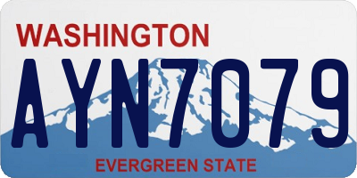 WA license plate AYN7079