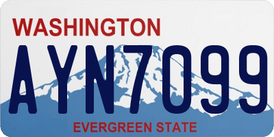 WA license plate AYN7099
