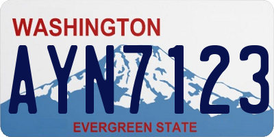 WA license plate AYN7123