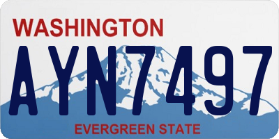 WA license plate AYN7497