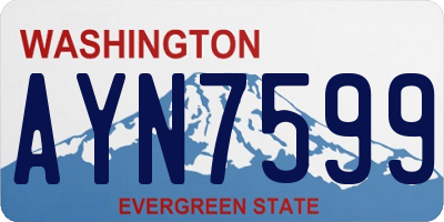 WA license plate AYN7599