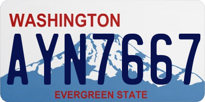 WA license plate AYN7667