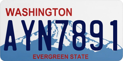 WA license plate AYN7891