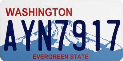 WA license plate AYN7917