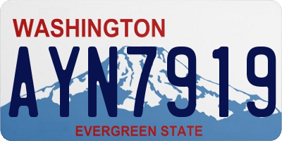 WA license plate AYN7919