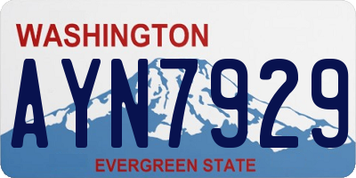 WA license plate AYN7929