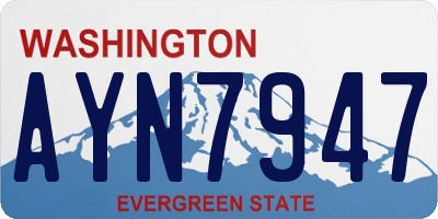 WA license plate AYN7947